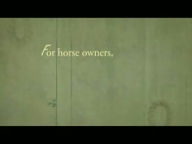 Horse Tales from Heaven