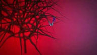 May11_4/INCARNATE_Final_BB_cddba52c123d211400ea0e0a3778f33ef0552292