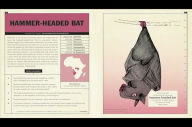 Unusual Creatures