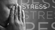 Stress and Your Body