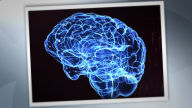 Optimizing Brain Fitness