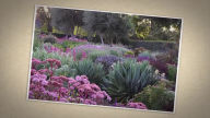 Cultivating Garden Style
