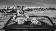 David Yarrow Photography - Trailer