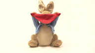 Peter Rabbit Peek-a-Boo