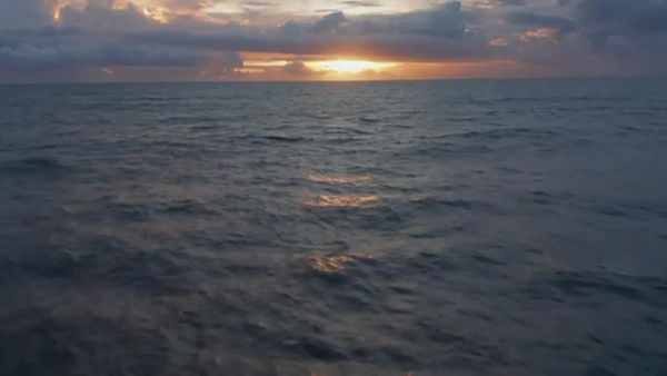 The Stranger in the Lifeboat - Trailer
