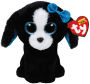 TRACEY - black/white dog reg