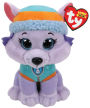 EVEREST - husky dog reg
