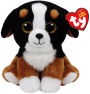 ROSCOE - black/white dog reg