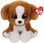 SNICKY - brown/white dog med