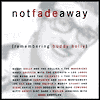 Not Fade Away (Remembering Buddy Holly)