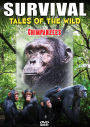 Survival: Tales Of The Wild - Chimpanzees