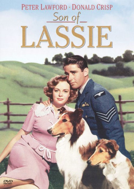 3 LASSIE Films LASSIE COME HOME SON of LASSIE Elizabeth Taylor