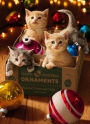Christmas Greeting Card Kittens In Ornament Box