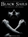 Black Sails: Season 1