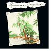 Louisiana Scrapbook