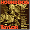 Hound Dog Taylor: A Tribute