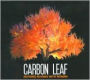 Nothing Rhymes With Woman (Carbon Leaf)