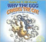 Why the Dog Chases the Cat
