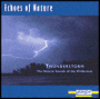 Echoes of Nature: Thunderstorm
