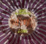 Spirit Electricity