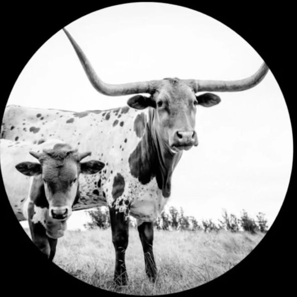 West Texas Blues