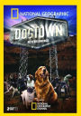 National Geographic: Dogtown - New Beginnings