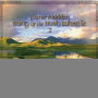 Songs of the Irish Whistle, Vol. 2