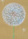 Boxed Note Cards Wish by Susie Ray