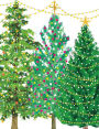 Christmas Trees with Lights Christmas Boxed Cards
