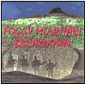Foggy Mountain Breakdown