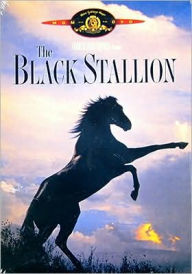 Title: The Black Stallion