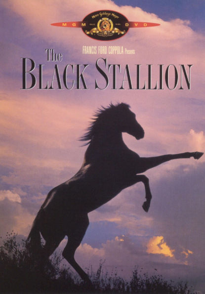 The Black Stallion