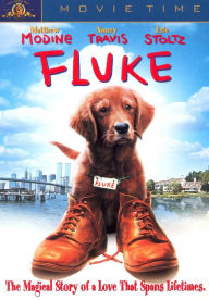 Fluke