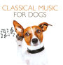 Classical Music for Dogs