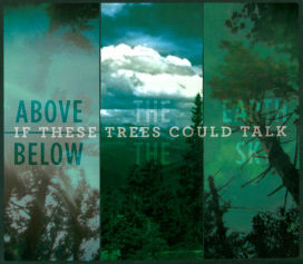 Above the Earth, Below the Sky
