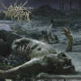 The Anthropocene Extinction