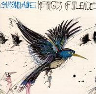 Methods of Silence
