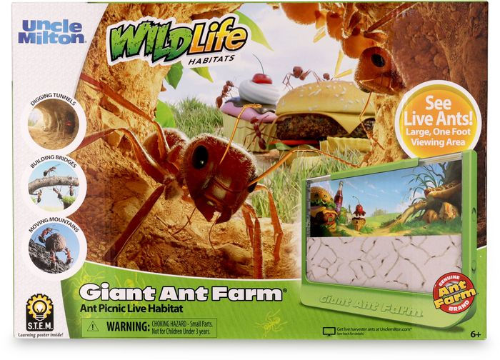 Arkæologiske Folde sådan Giant Ant Farm by Basic Fun | Barnes & Noble®