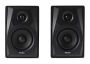 TEAC LS-M100-B Powered Speaker