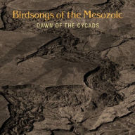 Title: Dawn of the Cycads, Artist: Birdsongs of the Mesozoic