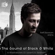 Title: The Sound of Black & White, Artist: Raffi Besalyan