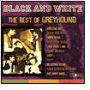 Black and White: Best of Greyhound