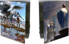 Alternative view 2 of D&D Class Folio Paladin