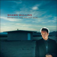 Beneath the Velvet Sun