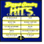 Biggest Country Hits of the 90s, Vol. 1