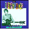 D.I.Y.: Teenage Kicks: UK Pop (1976-79)