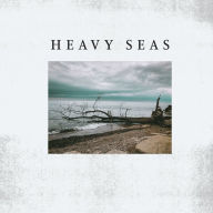 Title: Distortion Days, Artist: Heavy Seas