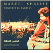 Concerto Al Andalus