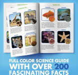 Alternative view 4 of Educational Insights GeoSafari® Jr. Kidscope
