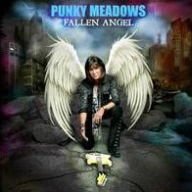 Fallen Angel